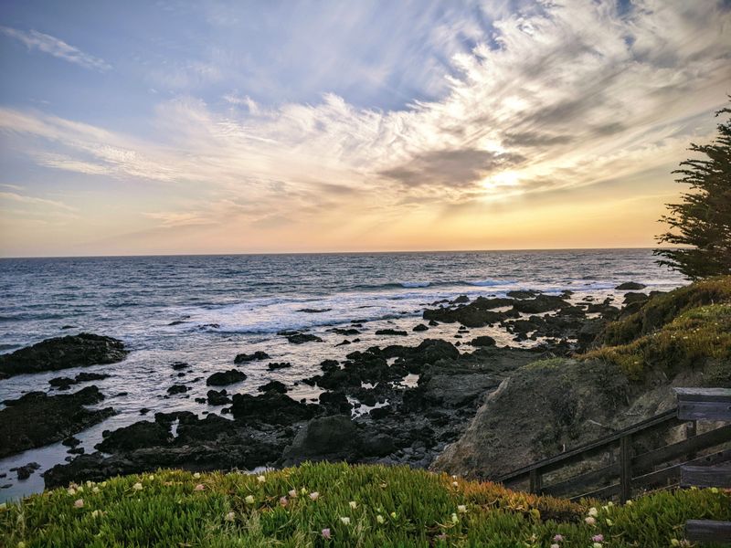 Cambria: Where Pines Meet the Sea