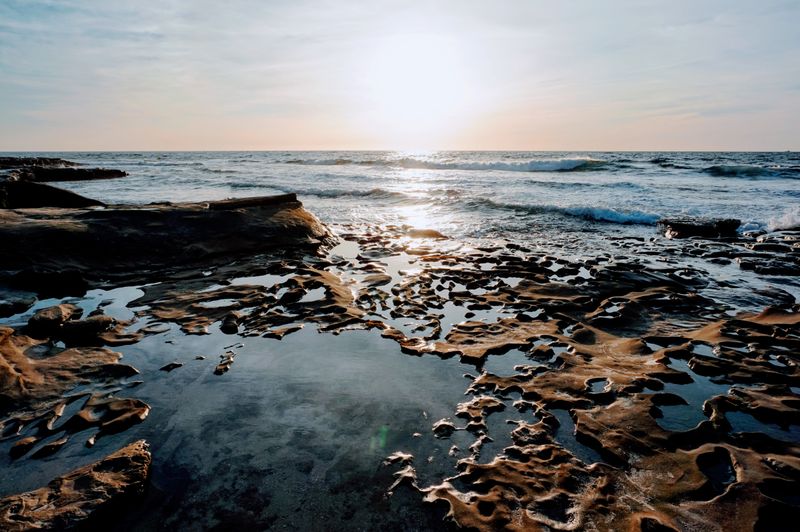 Tide Tables Are Social Calendars