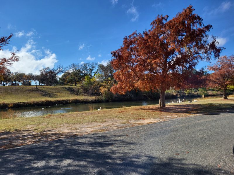 Serene Trails at Lady Bird Johnson Municipal Park