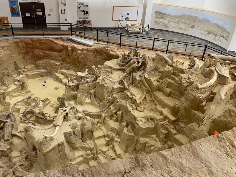 The Mammoth Site