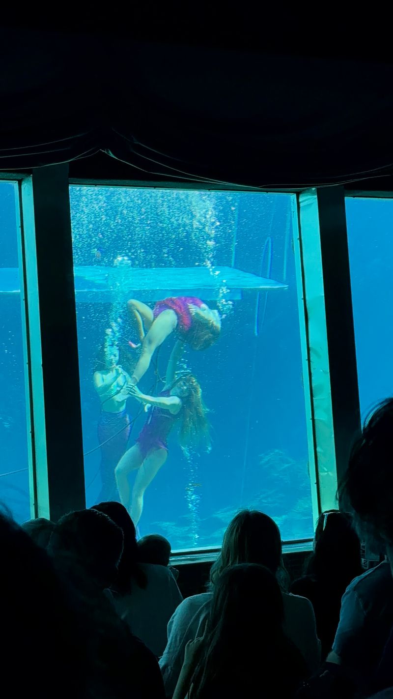 Weeki Wachee Springs Underwater Theater (Original Facility)