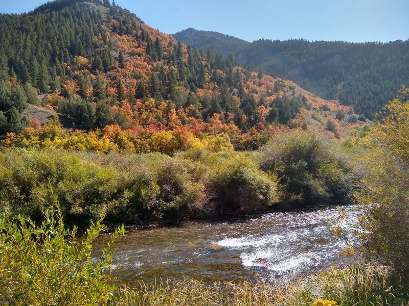 Logan Canyon To Bear Lake