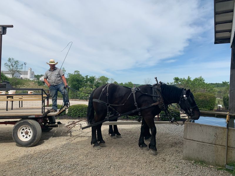 Immodest Clothing Choices