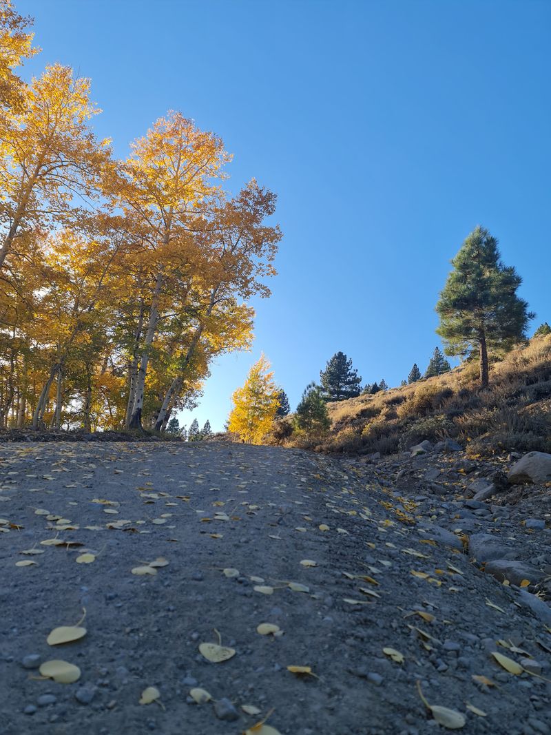 A Genuine Step Off The Beaten Path