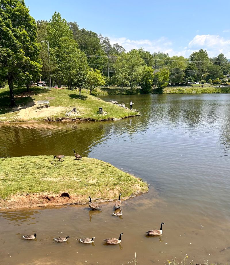 Weaverville Small Town Just North Of Asheville