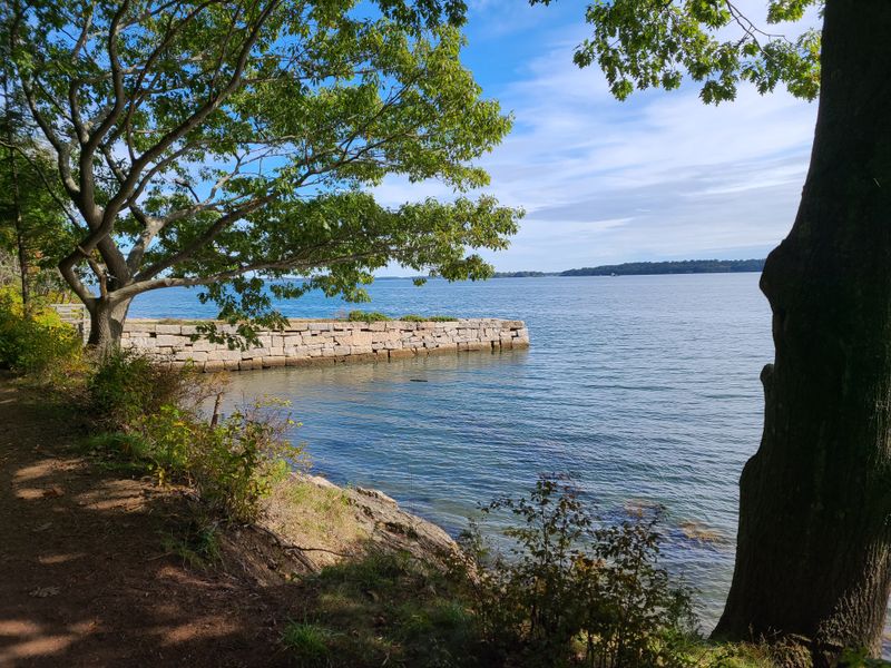 Mackworth Island Trail