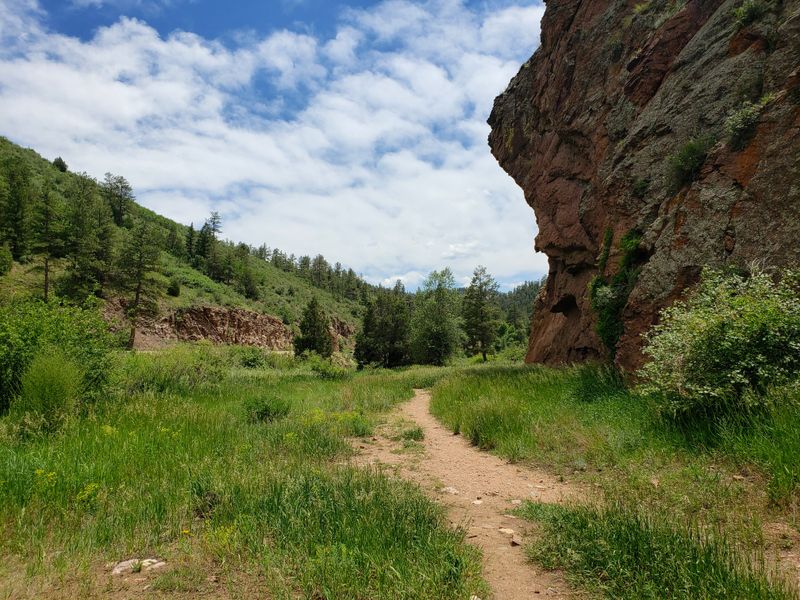 Trail Running for Speed and Endurance Training