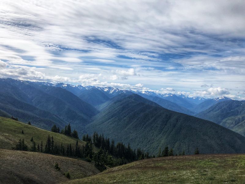 Olympic Lowlands For Gentler Snow