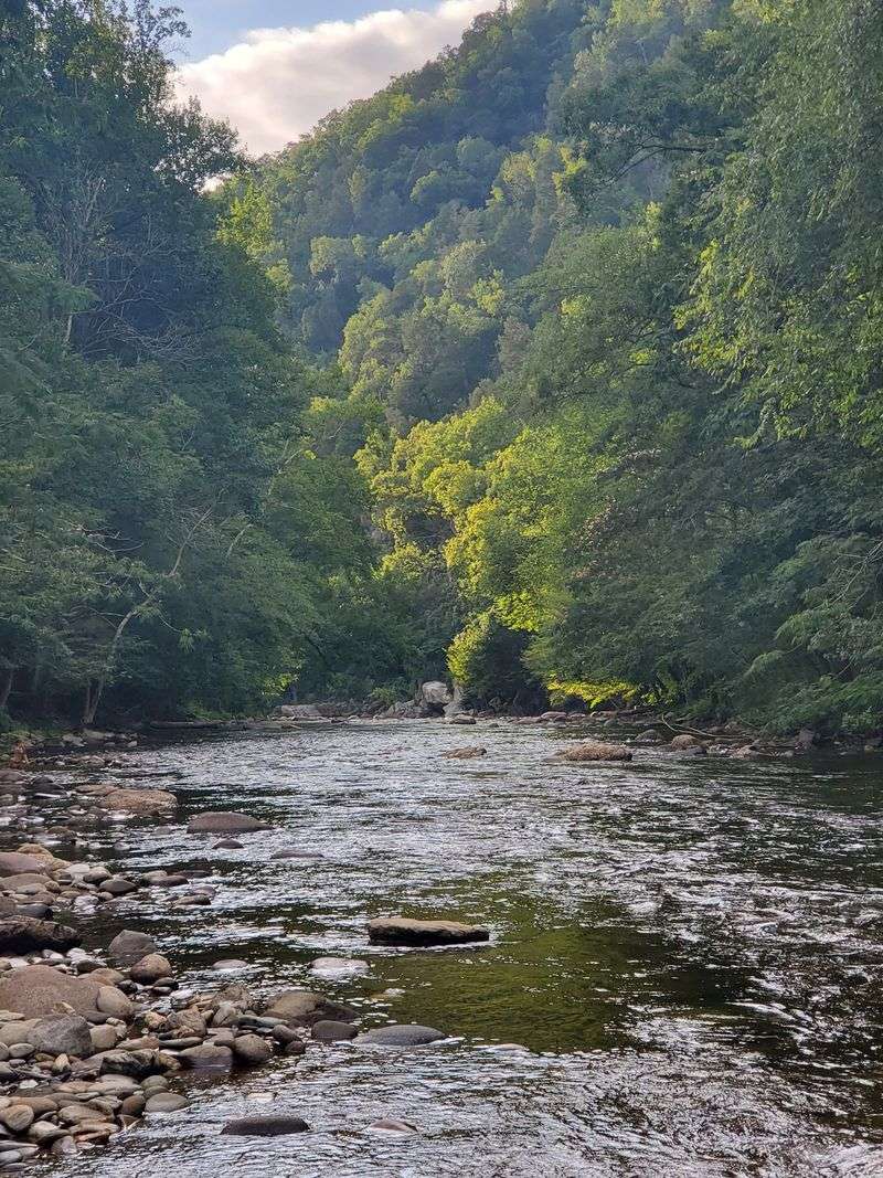 Seasonal Solitude and Renewal