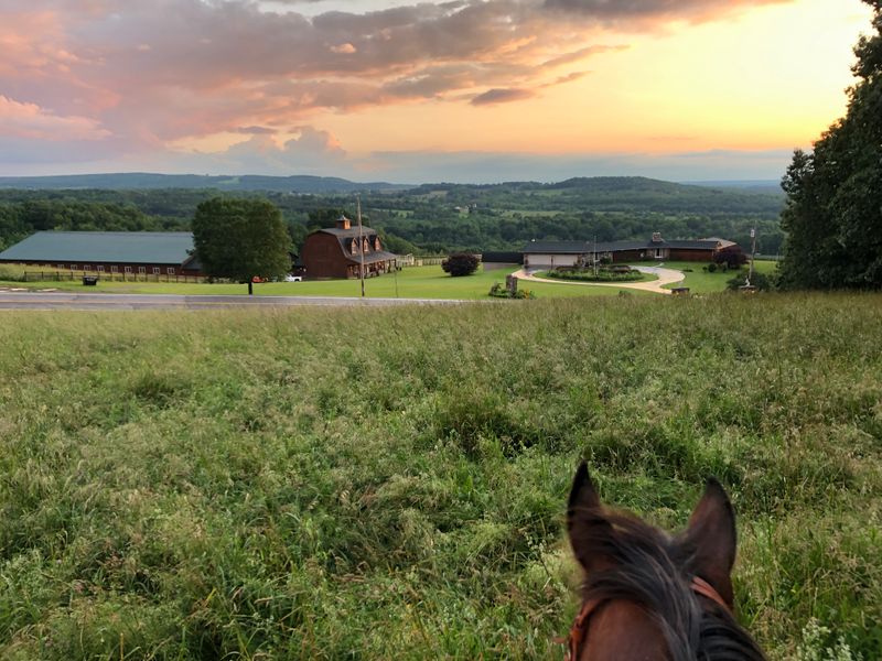 The Nunda Ranch, Nunda