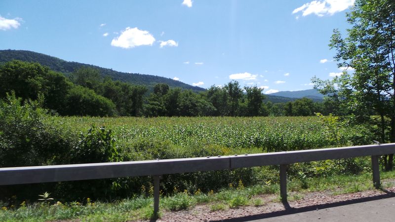 Mad River Path For Winter Walking and Reflection