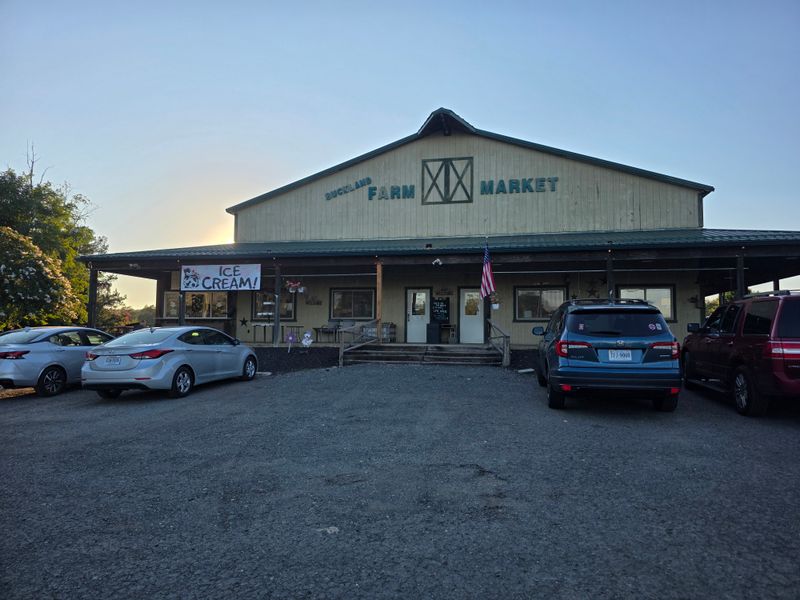 Buckland Farm Market