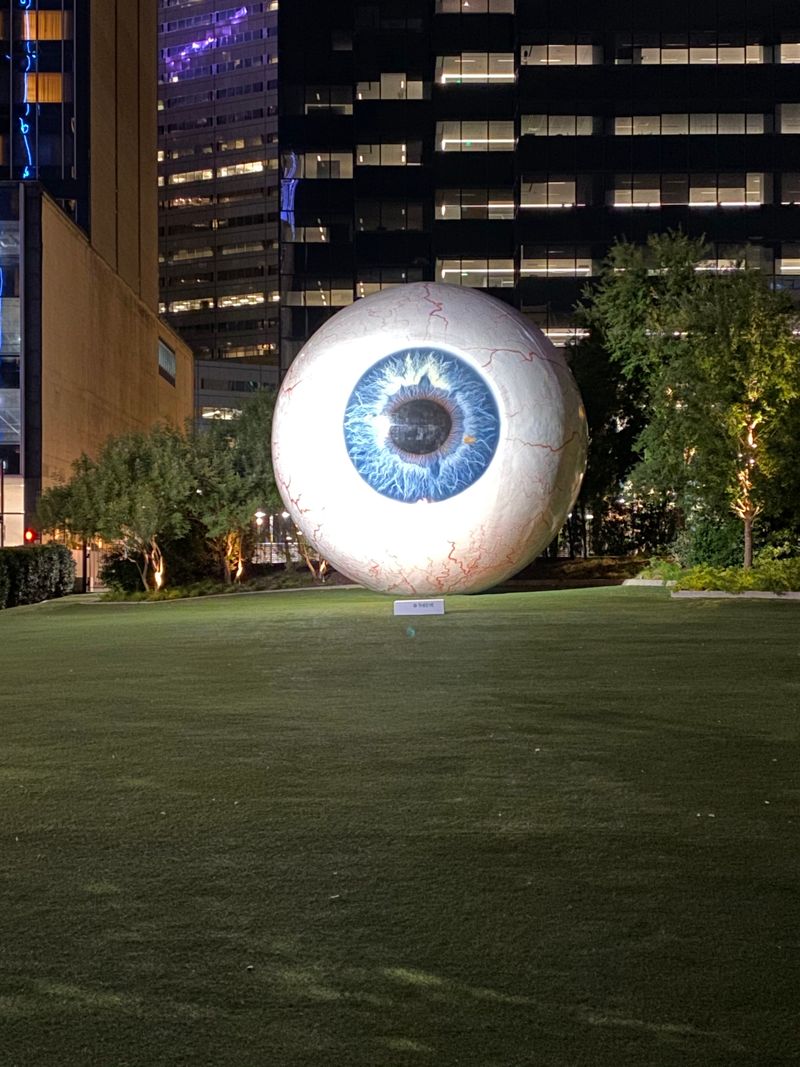 The Eye