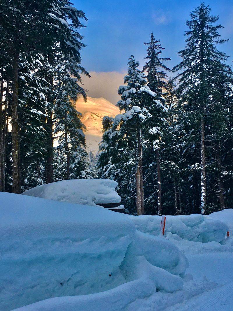 Winner Creek Trail, A Lush Corridor Turned Snowy Cathedral