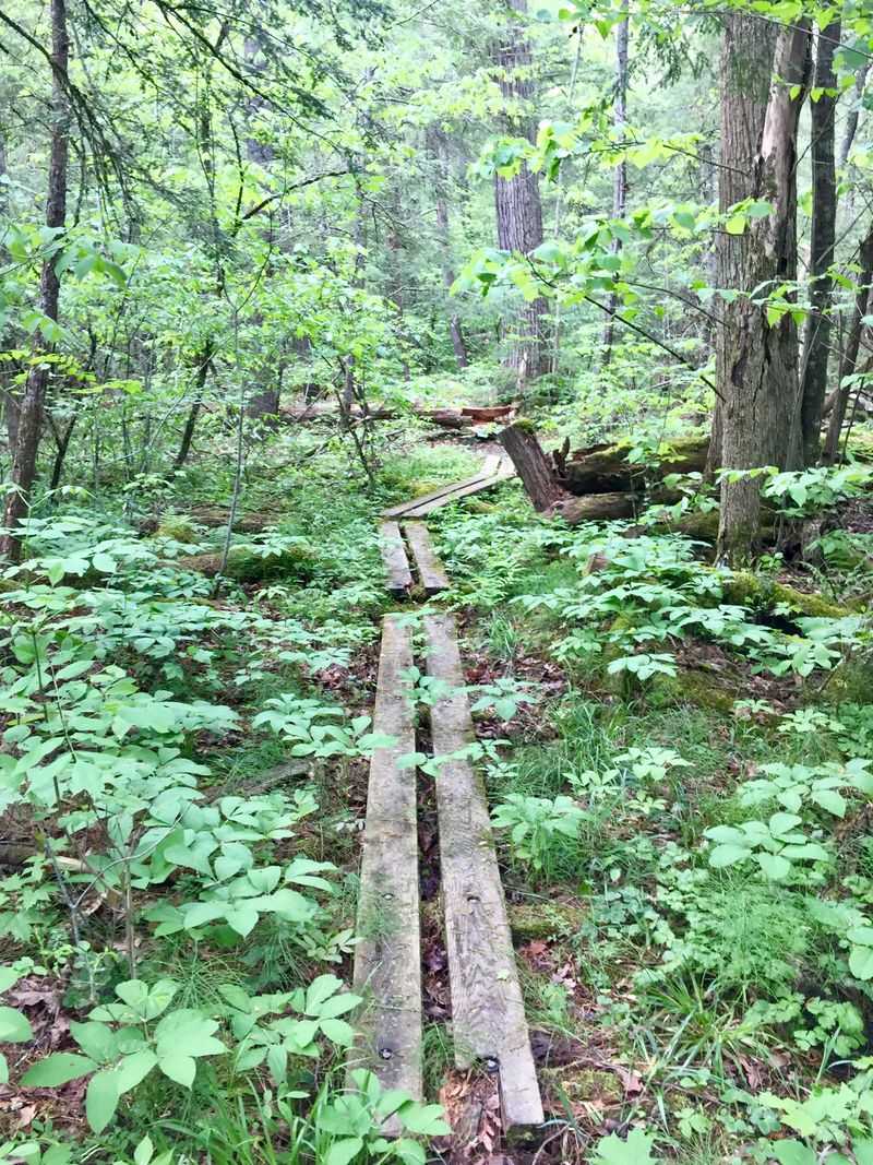 Williams Island Nature Preserve