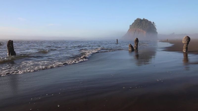 A Living Laboratory for Climate Change Research