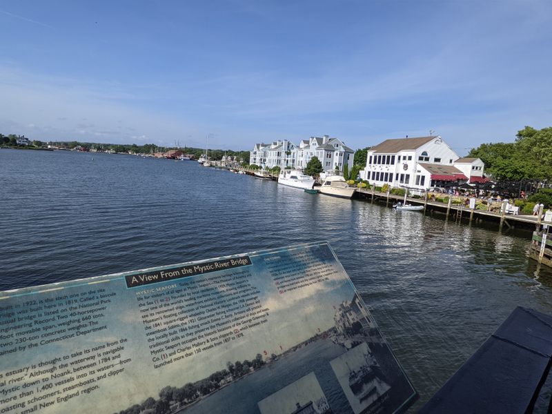 Downtown Mystic Village