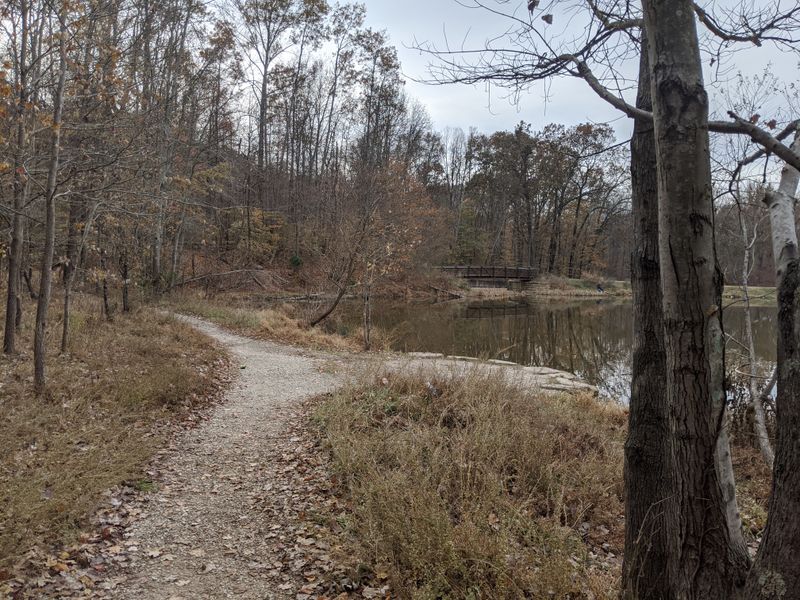 Waverly Area Bonus, Louisville Night Walk