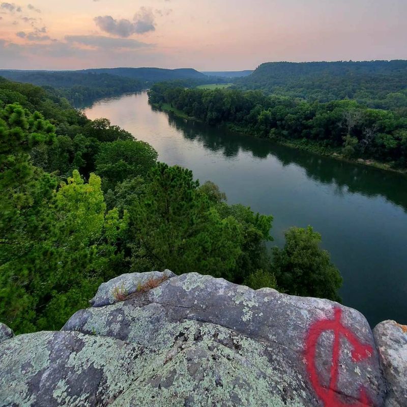 River And Rail Roots