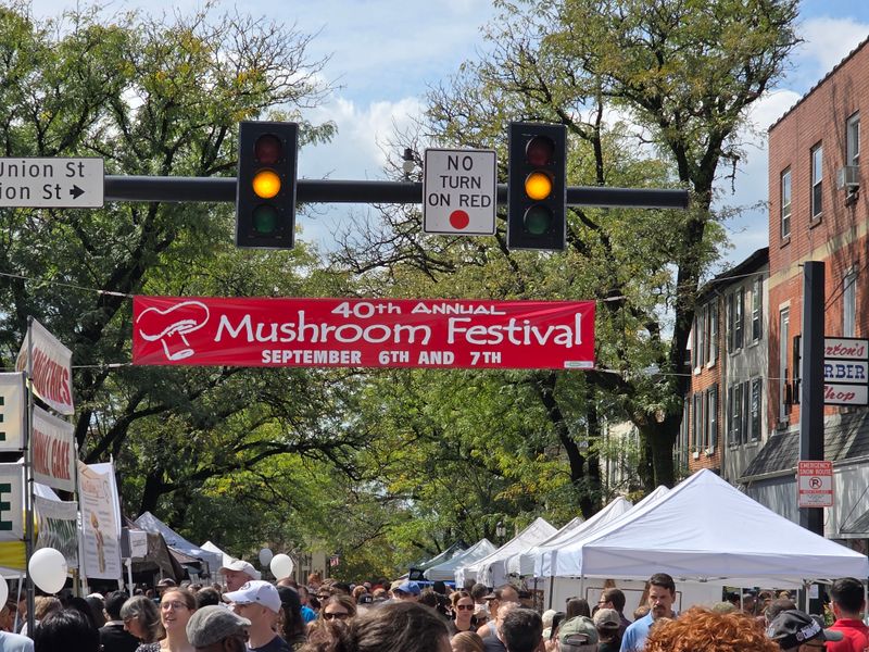 Mushroom Festival in Kennett Square