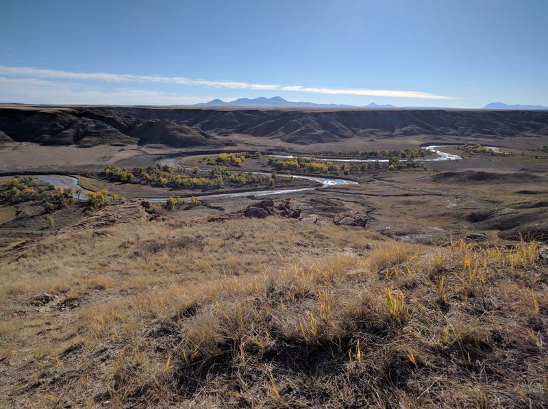 Milk River Valley Bottomlands