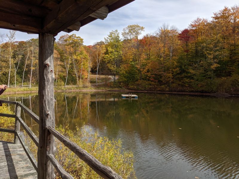 The Swimming Pond That Defines Summer Simplicity