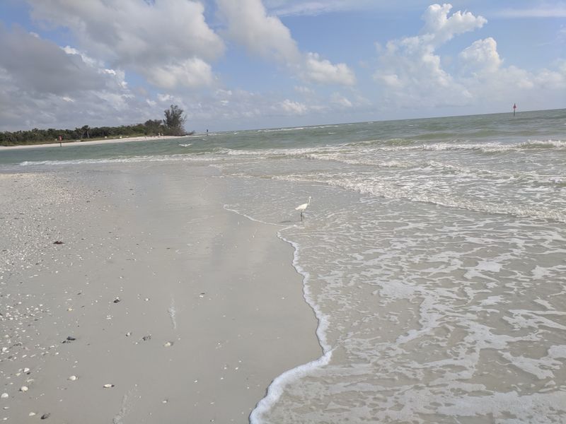 Barefoot Beach County Preserve