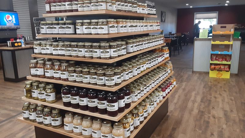 Why Respectful Travelers Keep Returning to This Amish Corner of Michigan