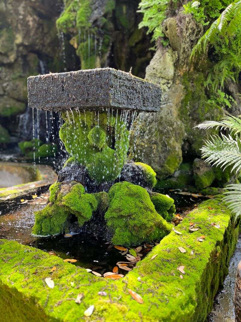 Seasonal magic and the best times to visit