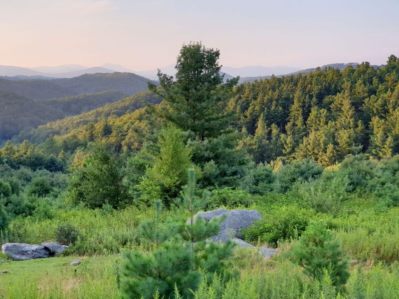 Peaceful atmosphere tucked in the trees