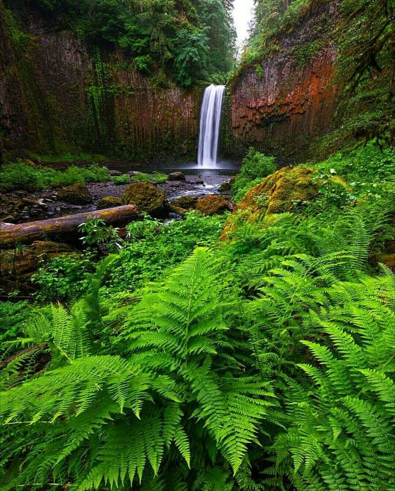 Understanding the location and coordinates