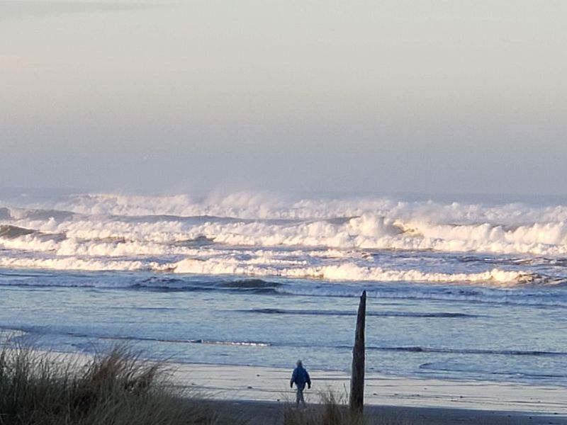 Seasonal Storm Watching Spectacles
