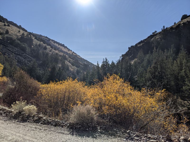 Jarbidge
