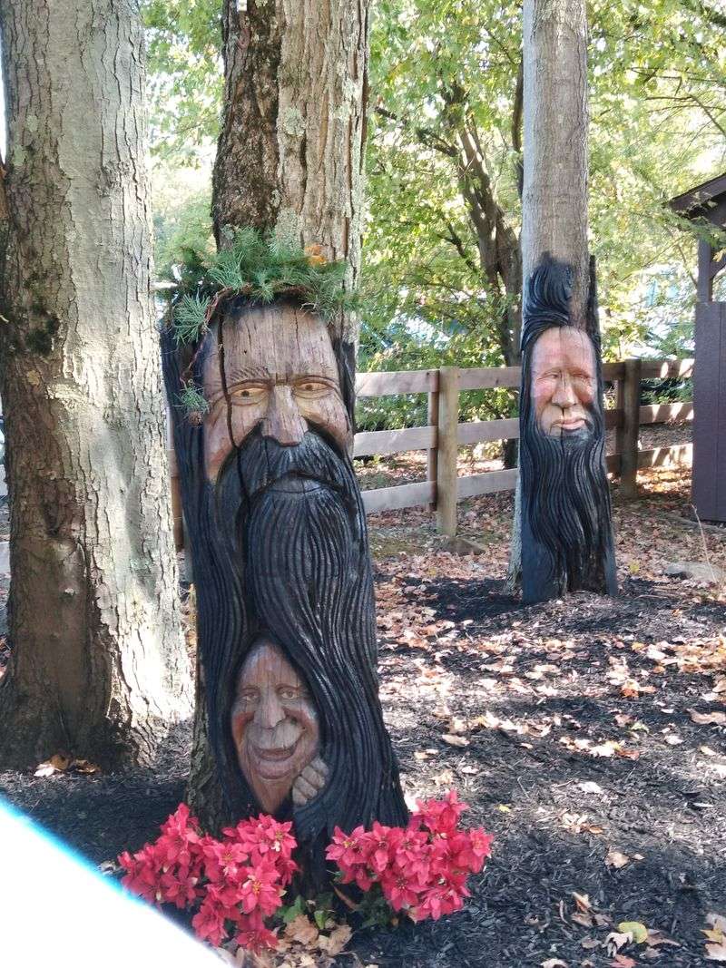 Shaker Woods Festival 