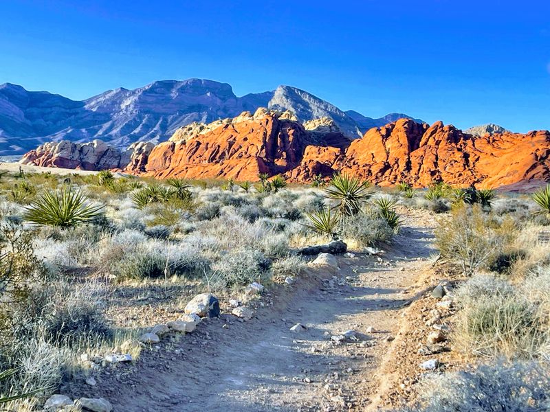 Red Rock Canyon National Conservation Area