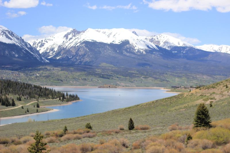 Leave Rocks, Cones, And Antlers Where They Lie