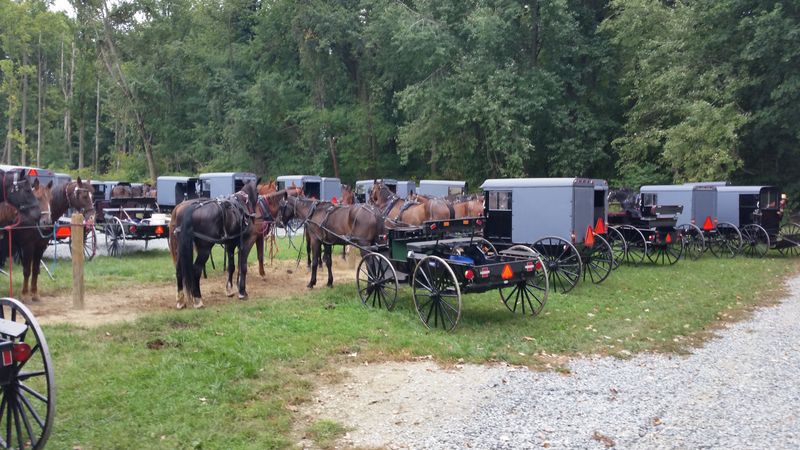 Quarryville South Country Folds