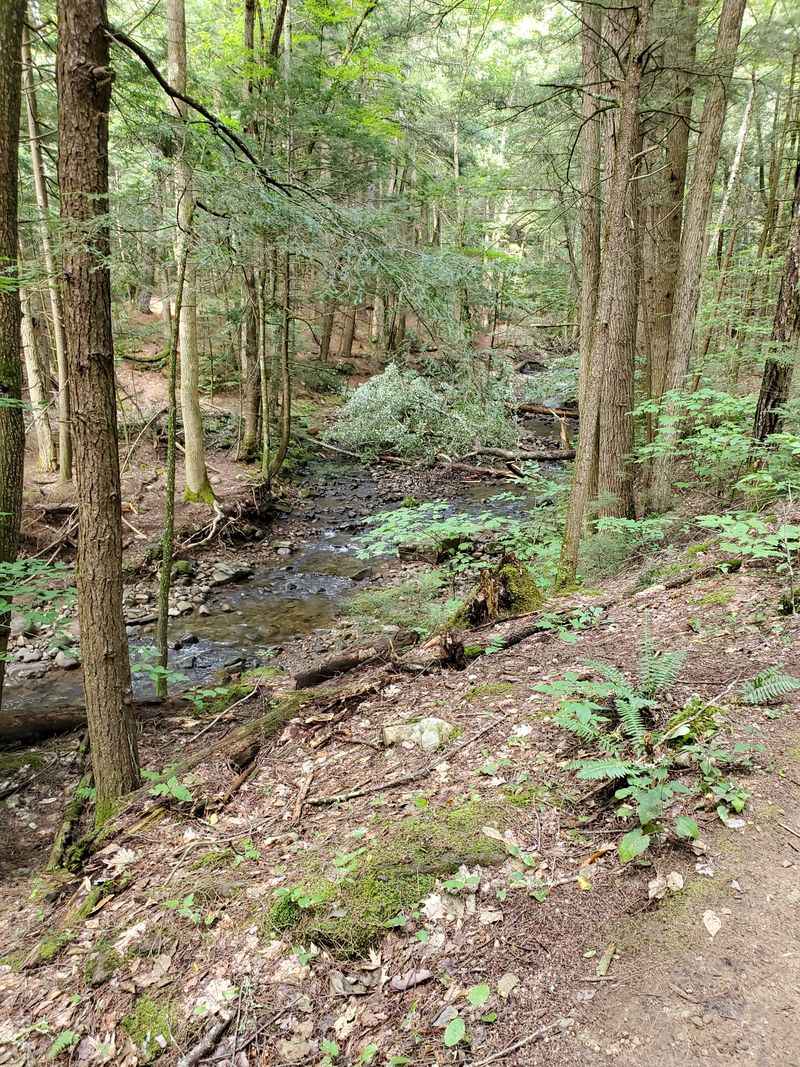 Sleeping Beauty Mountain