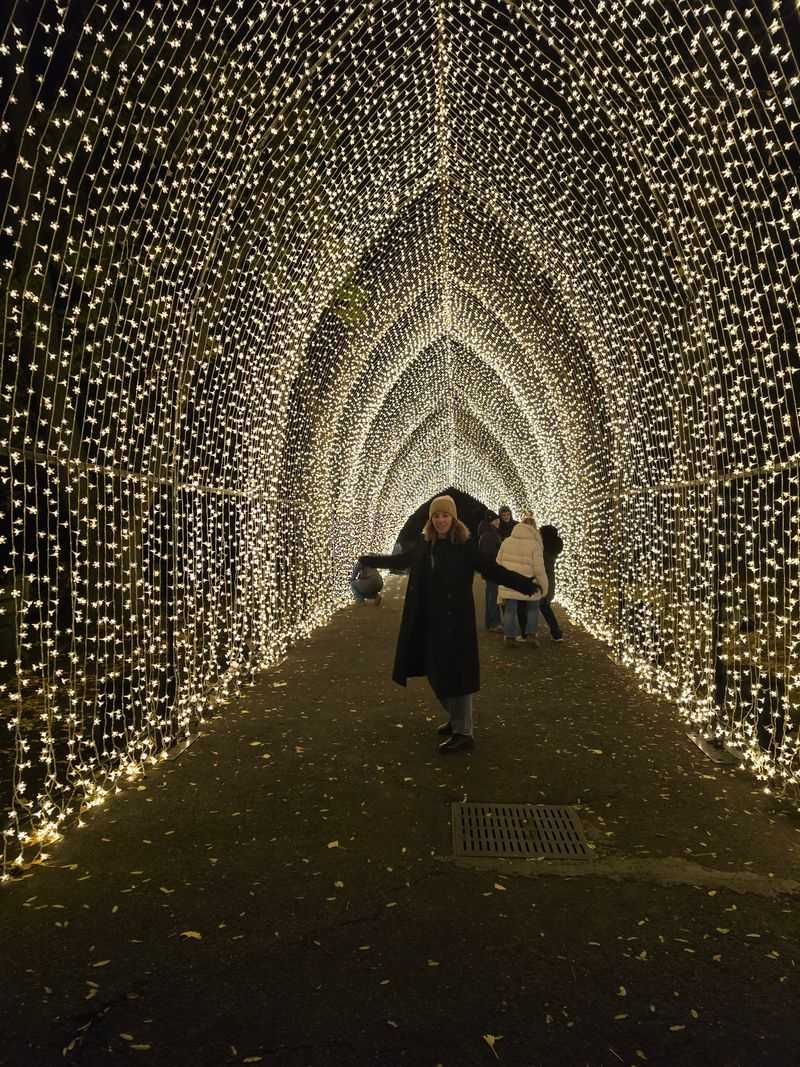 Arrival Glow at the Eastern Parkway Gate