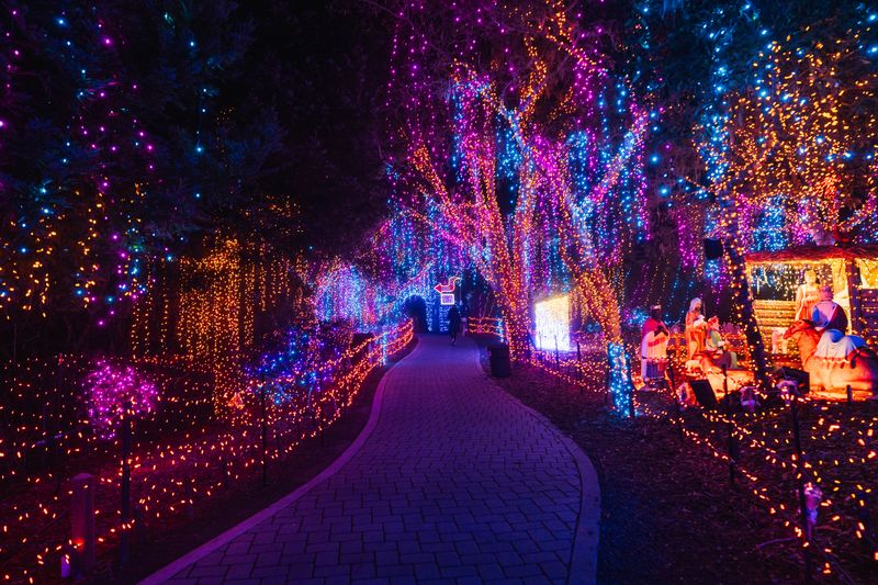 Cambria Christmas Market, Cambria Pines Lodge, 2905 Burton Dr, Cambria, CA 93428