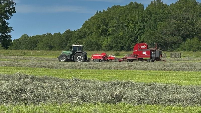 No Throwing Hay from Second Stories, Cumberland