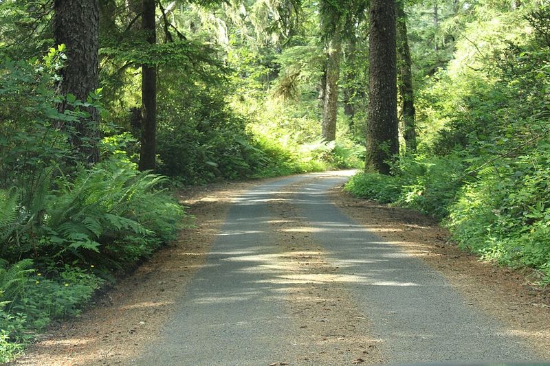Long Beach Peninsula