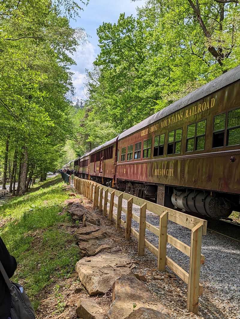 A Return Ride That Feels Softer and More Reflective