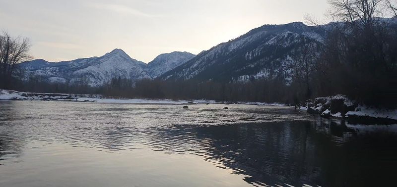 Waterfront Park Winter Walks And Bird Watching