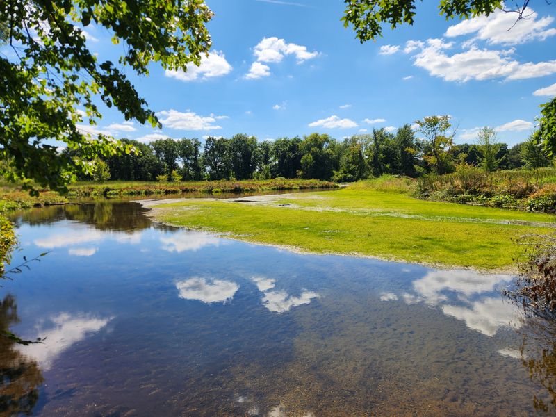 Hidden Marsh Sanctuary Loop, Three Rivers