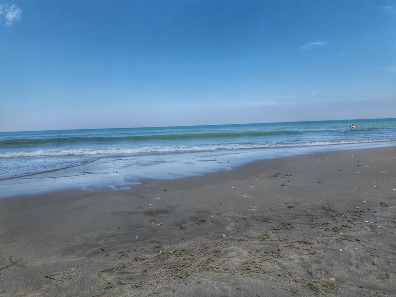 Kitty Hawk Overwash Watch