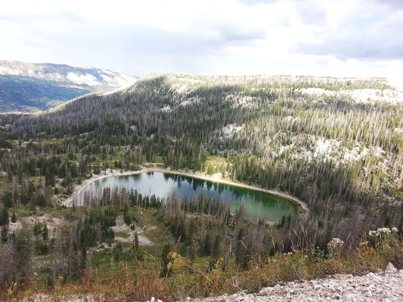 Manti-La Sal National Forest