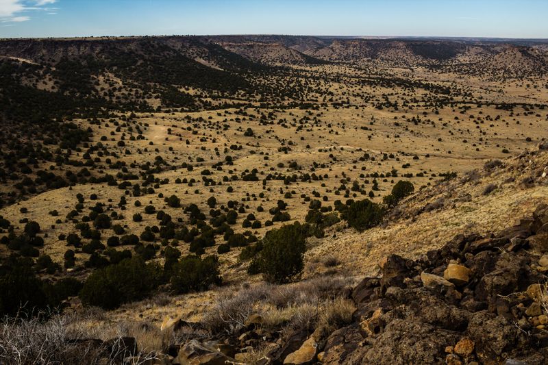 Unique Volcanic Geology Up Close