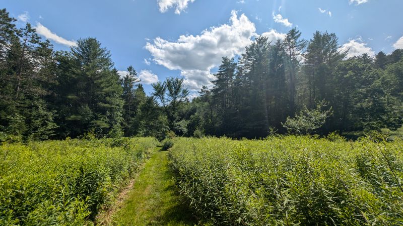 Creepy Wildlife Encounters