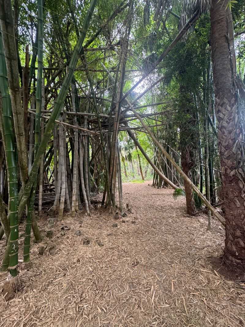 Pine and Bamboo Groves That Trap Quiet